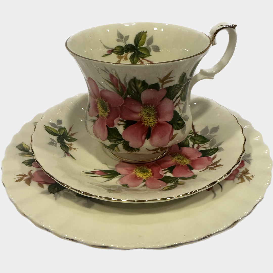 İngiliz Royal Albert Prairie Rose serisi porselen trio duble kahve fincanı